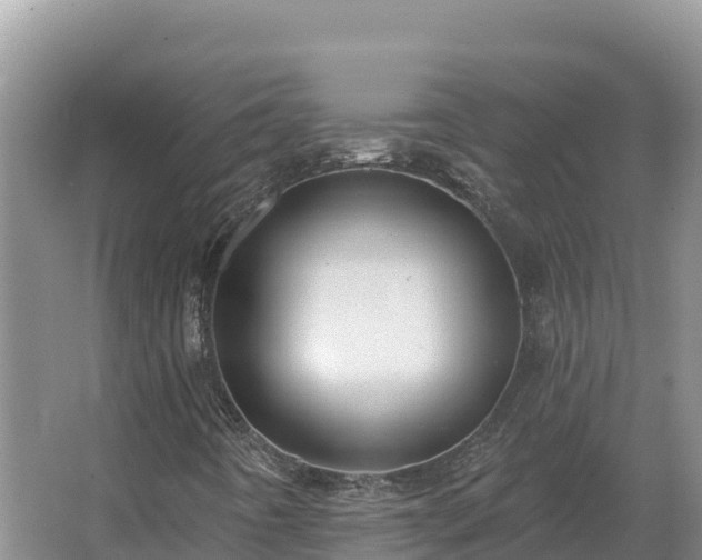 X0000067391442200604071741