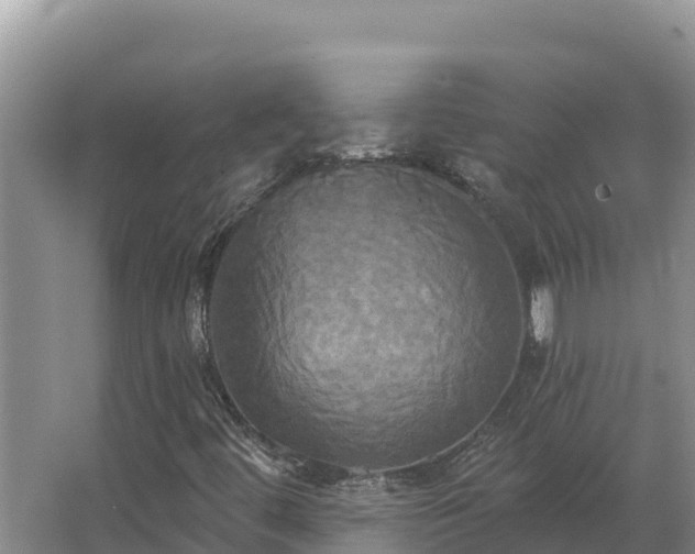 X0000067391444200604071741