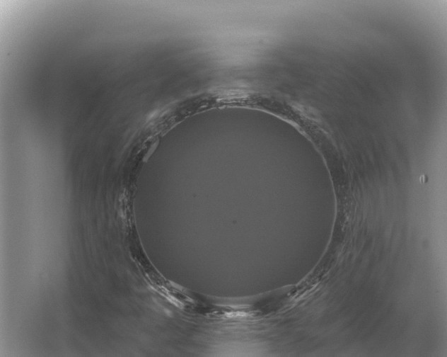 X0000067391445200604071741