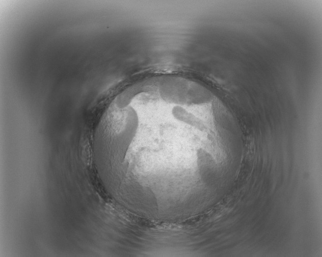 X0000067391446200604071741