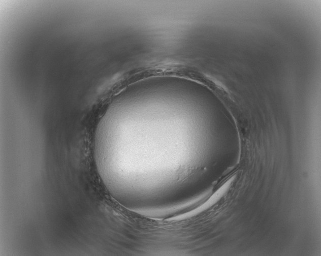 X0000067391447200604071741