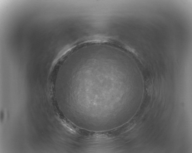 X0000067391448200604071741