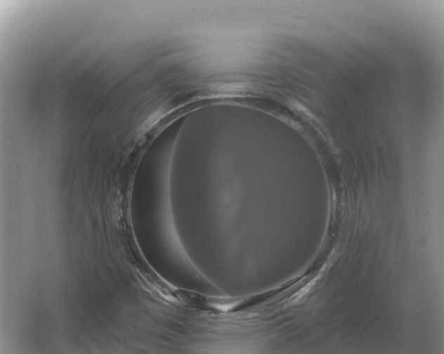 X0000067391449200604071741