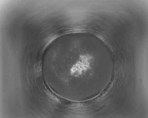 X0000067391450200604071741