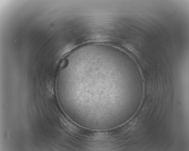 X0000067391451200604071741