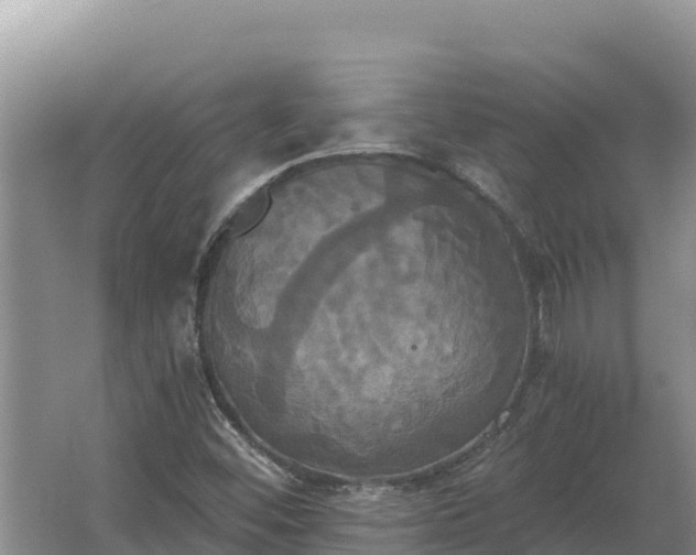 X0000067391452200604071741