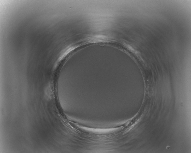 X0000067391453200604071741