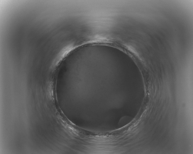 X0000067391455200604071741