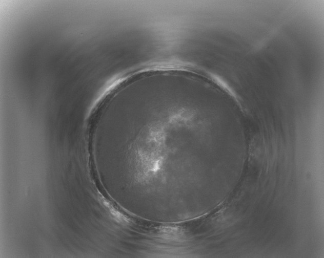 X0000067391456200604071741