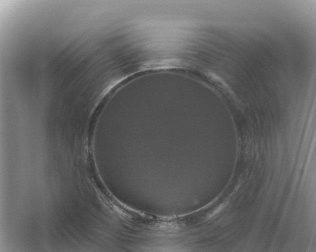 X0000067391457200604071741