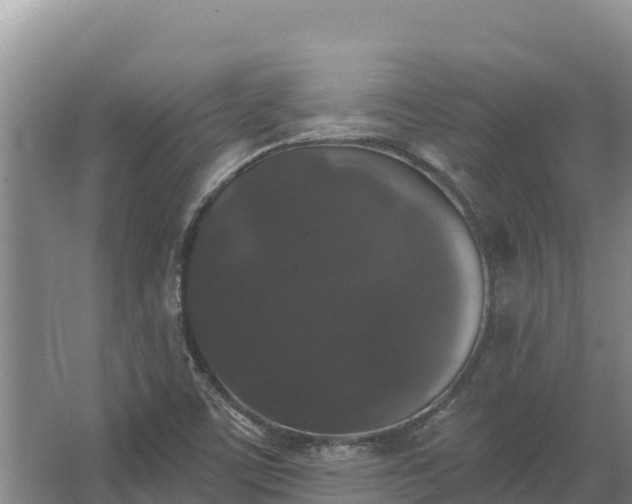 X0000067391459200604071741