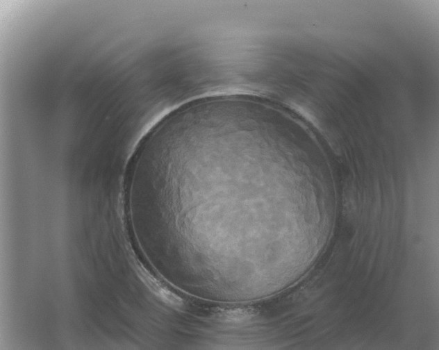 X0000067391460200604071741