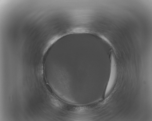 X0000067391461200604071741