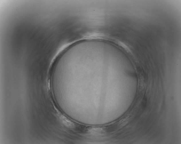 X0000067391462200604071741