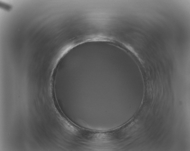 X0000067391463200604071741