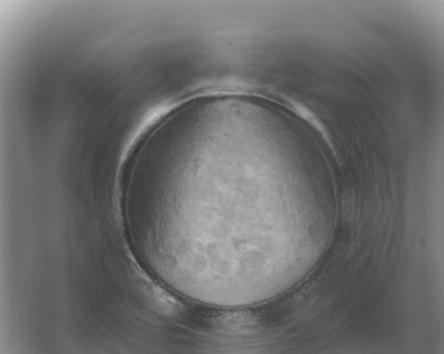 X0000067391464200604071741