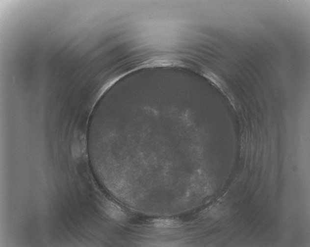 X0000067391465200604071741