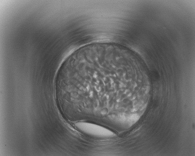 X0000067391467200604071741