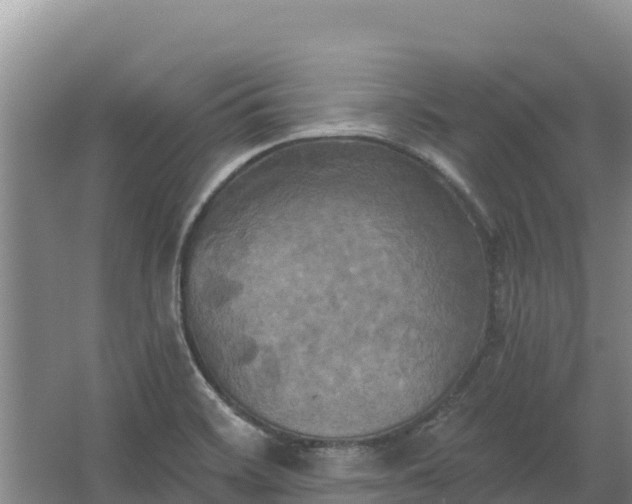 X0000067391468200604071741