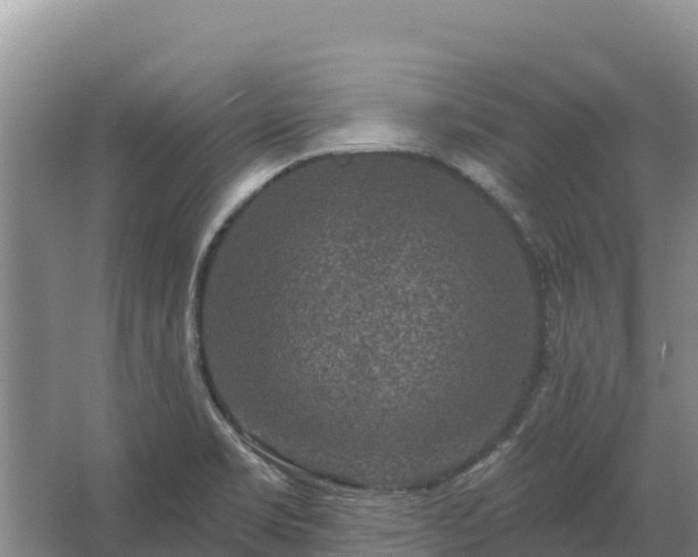 X0000067391469200604071741