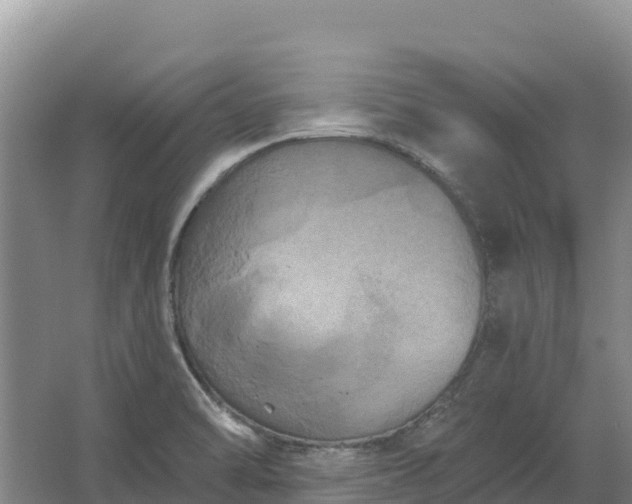 X0000067391470200604071741