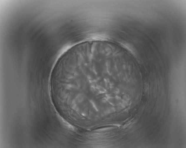 X0000067391471200604071741