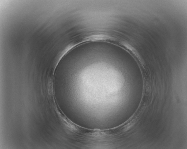 X0000067391473200604071741