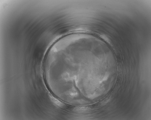 X0000067391474200604071741