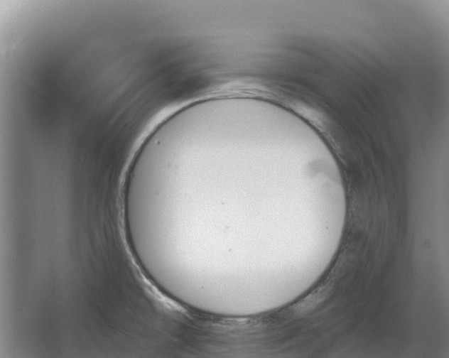 X0000067391478200604071741