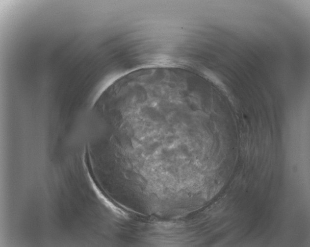 X0000067391479200604071741