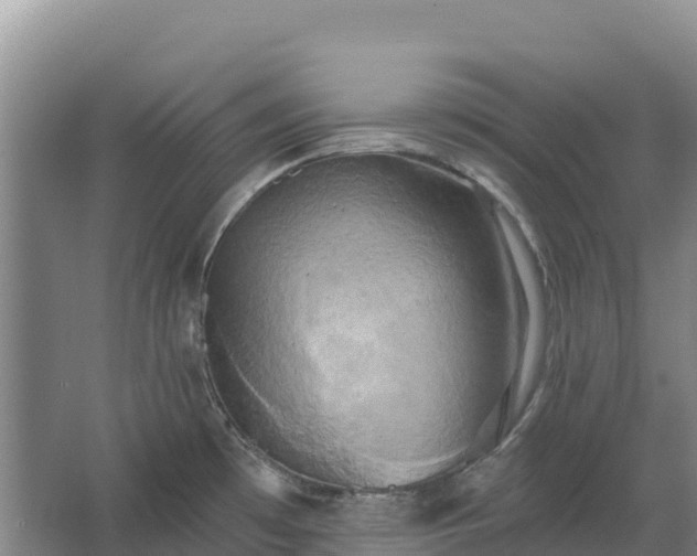 X0000067391481200604071741