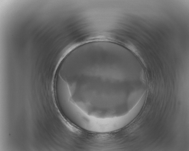 X0000067391482200604071741