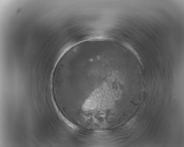 X0000067391483200604071740