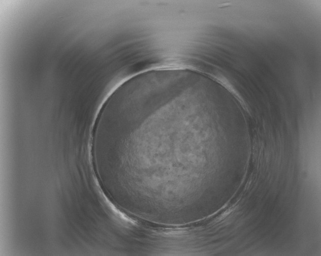 X0000067391484200604071740