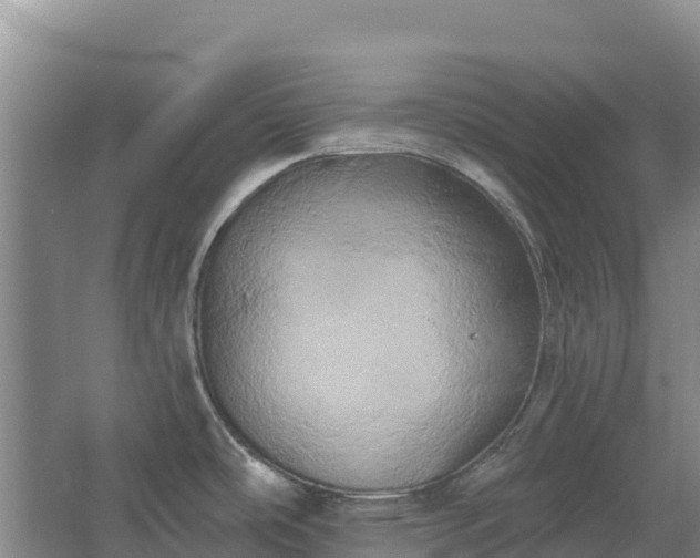 X0000067391486200604071740