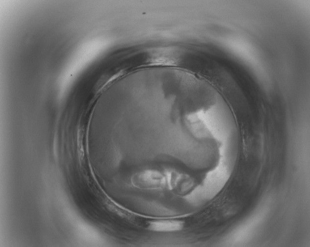 X0000067391487200604071740