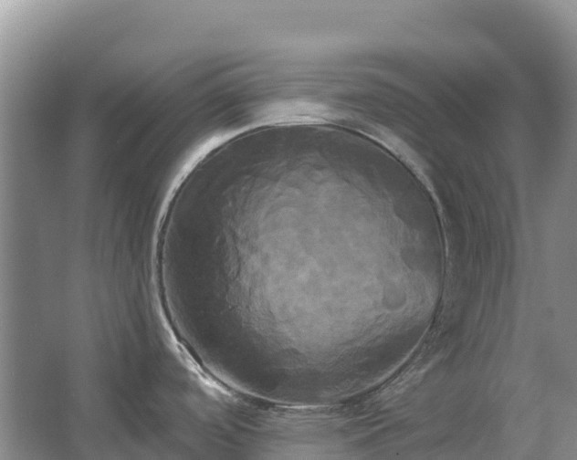 X0000067391488200604071740