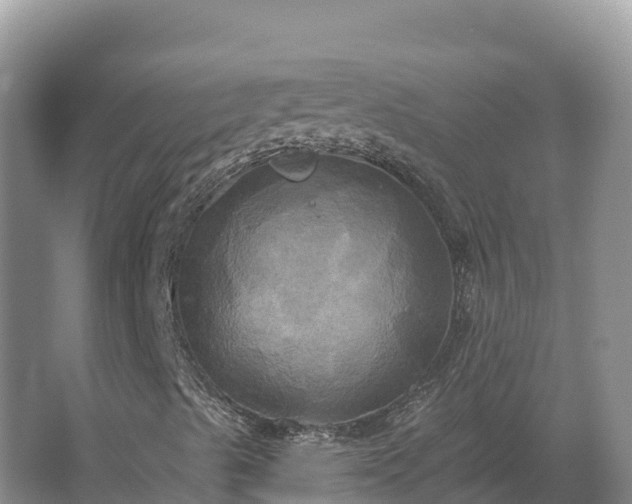 X0000067391489200604071740