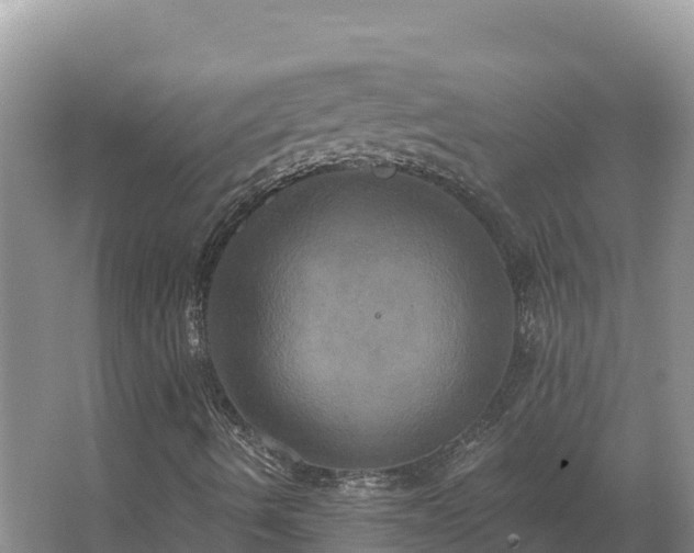 X0000067391490200604071740