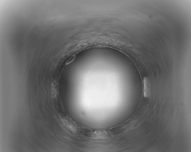 X0000067391491200604071740