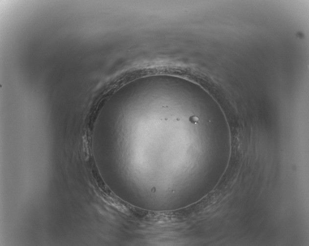 X0000067391493200604071740