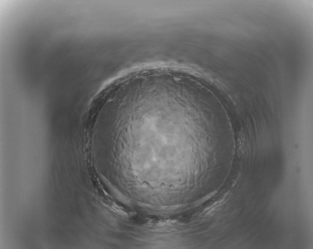 X0000067391494200604071740