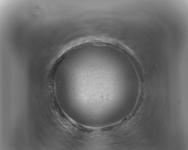 X0000067391496200604071740