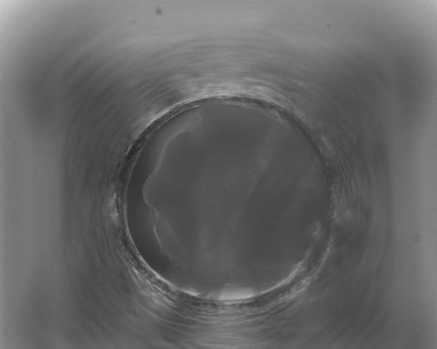 X0000067391497200604071740