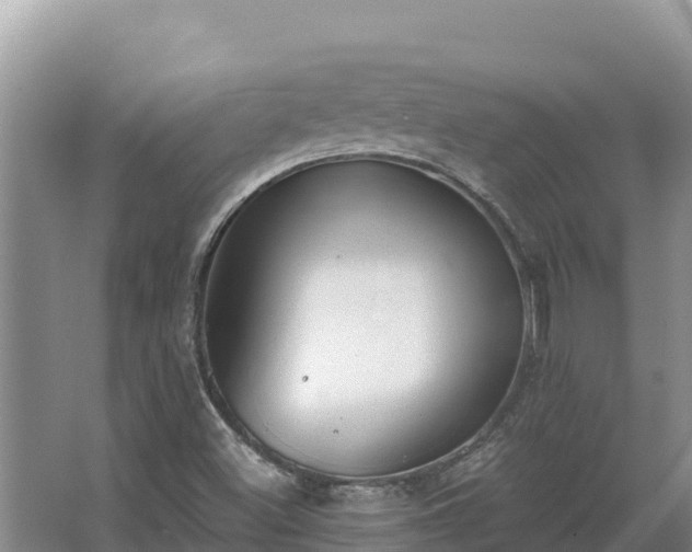 X0000067391500200604071740