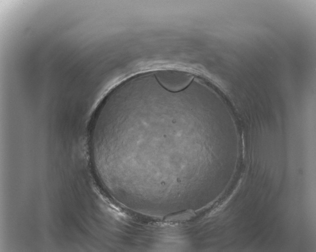 X0000067391501200604071740