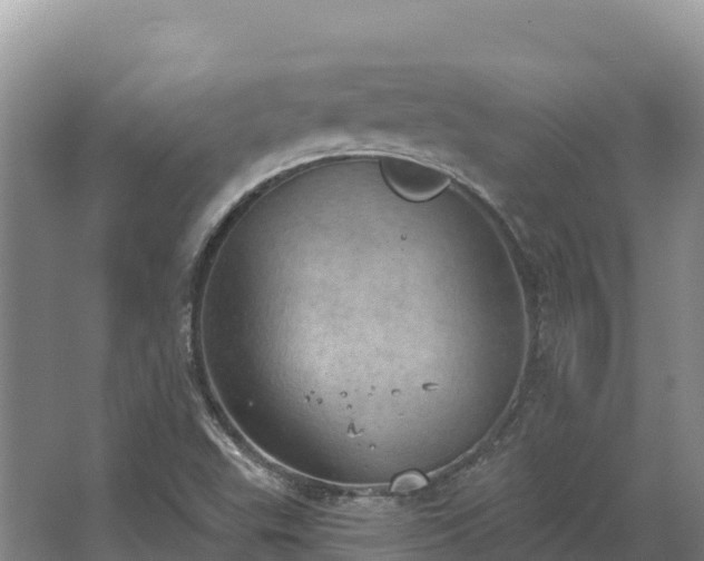 X0000067391503200604071740