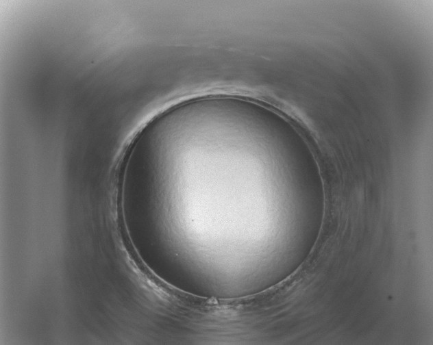 X0000067391504200604071740