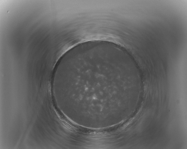 X0000067391505200604071740