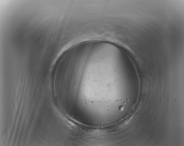 X0000067391506200604071740